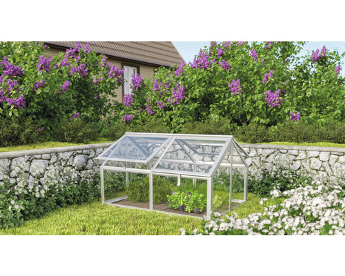 Châssis du culture Gamma verre de sécurité trempé 124,3 x 89 x 71,3 cm argent Mini-serre de jardin avec plantes