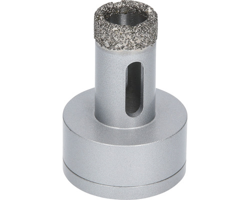 X-LOCK Diamanttrockenbohrer HORNBACH Professional Ceramic Bosch Dry mm 20 Best - Ø for Luxemburg Speed