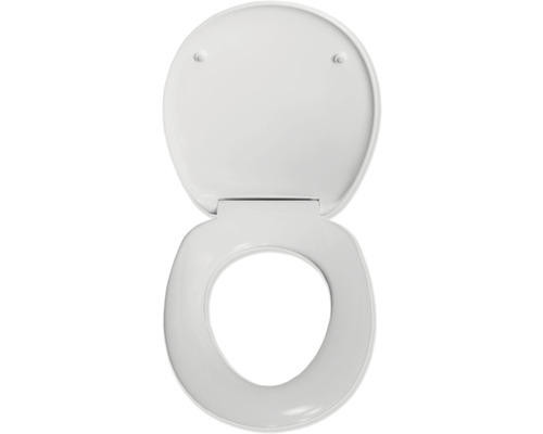 Toilettendeckel aus Kunststoff