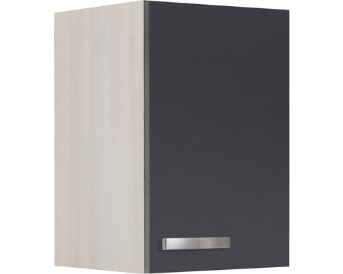 Armoire suspendue avec porte et poignée