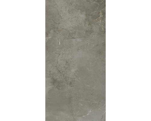 Panneau en plastique GX Wall+ Grey Marble 5x300x600 mm