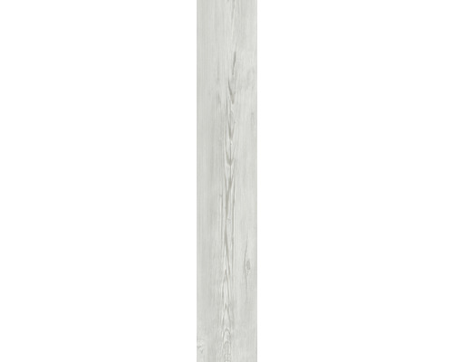 Panneau en plastique GX Wall+ Light Grey Oak 5x150x900 mm
