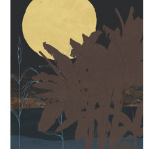 Fototapete Vlies INX5-016 Ink Supermoon 5-tlg. 250 x 280 cm