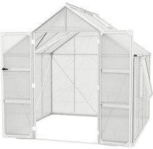 Serre Vitavia Olymp 6700 panneaux alvéolés 4 mm 257 x 258 cm argent