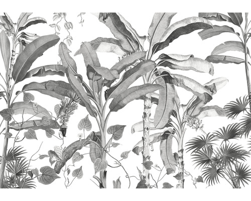 Papier peint panoramique intissé INX8-082 Ink Croissances Monochrome 8 pcs. 400 x 280 cm