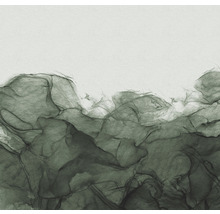Fototapete Vlies INX6-004 Ink Green Dust 6-tlg. 300 x 280 cm
