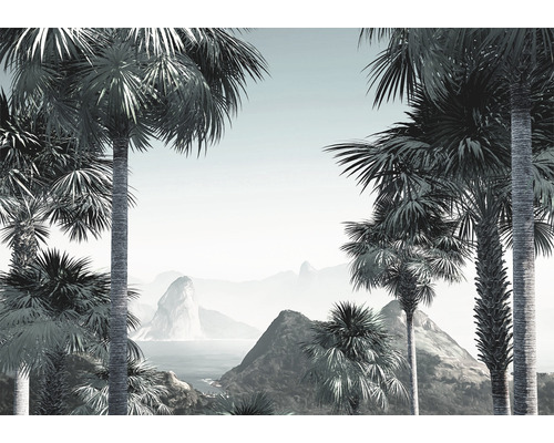 Papier peint panoramique intissé INX8-041 Ink Guanabara 8 pcs. 400 x 280 cm