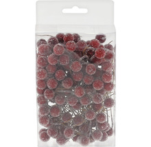 Dekorative rote Beeren in einer Verpackung.