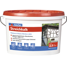Peinture à la chaux Peinture minérale Baufan blanc 2,5 l