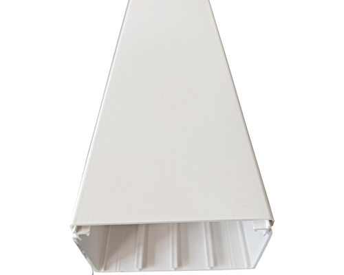 Conduite de câbles Hager LF Tehalit PVC 60x110 mm2,0 m blanc trafic