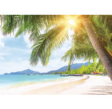 Wandtuch Strand 350x250 cm