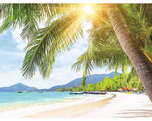 Tropischer Strand mit Palmen und türkisfarbenem Wasser