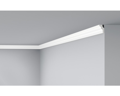 Profipack Deckenleiste D2, 20 x 2 m, 15 x 25 mm