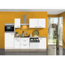 Moderne Küche mit Einbaubackofen, Spüle, Kochfeld, Dunstabzugshaube und Geschirrspüler