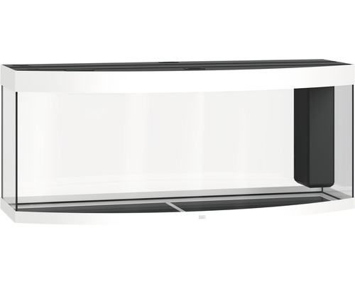 Aquarium vide avec façade en verre courbé