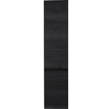 Armoire haute Sanox Maxx XL couleur de façade black oak chêne noir 35 x 160 x 35 cm