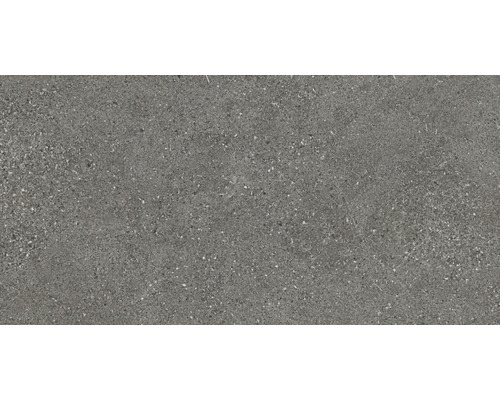 Carreau de sol gris avec motif de pierre