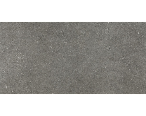 Carreau de sol gris avec décor en pierre