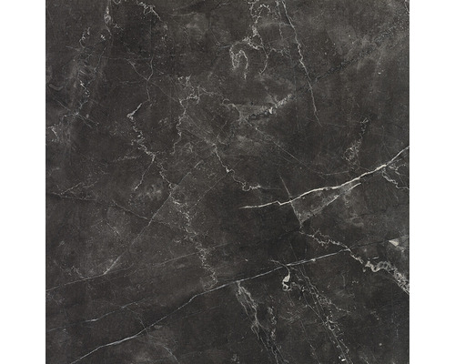 Carreau de sol foncé avec veinures de marbre