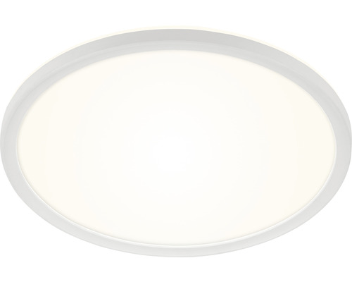 Ovale LED Deckenleuchte