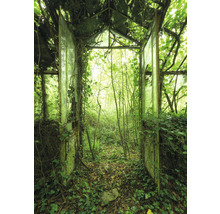 Papier peint panoramique intissé X4-158 Greenhouse 200 x 280 cm
