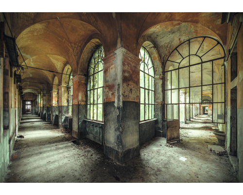 Fototapete Vlies X8-154 Casa della Follia 400 x 280 cm