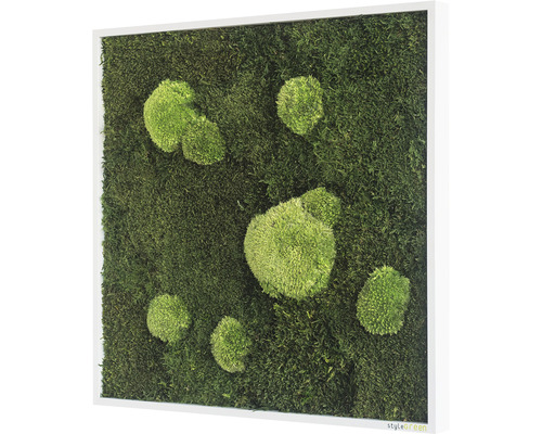 Moosbild mit Rahmen