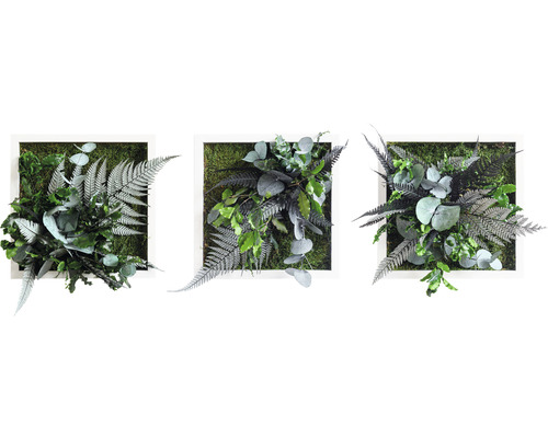 Tableau végétal Design jungle cadre blanc lot de 3 3x 22x22 cm