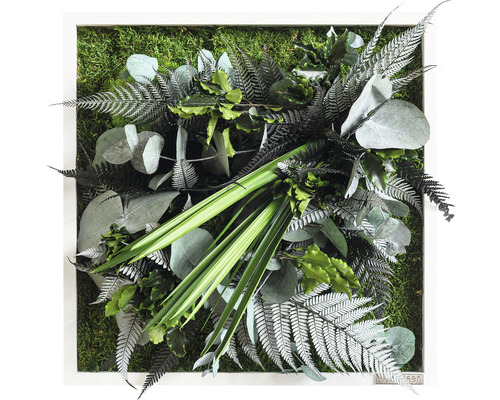 Tableau végétal Design jungle cadre blanc 35x35 cm