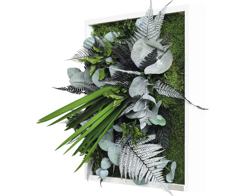 Moosbild mit verschiedenen Farnen und Eukalyptus in weißem Rahmen