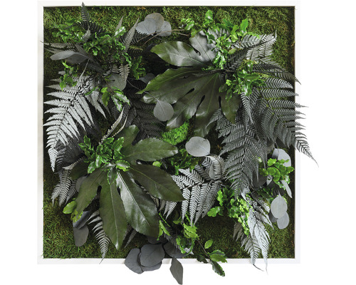 Tableau végétal Design jungle cadre blanc 55x55 cm