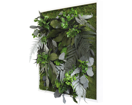 Dekoratives Pflanzenbild mit verschiedenen grünen Pflanzen und Moos in einem weißen Rahmen