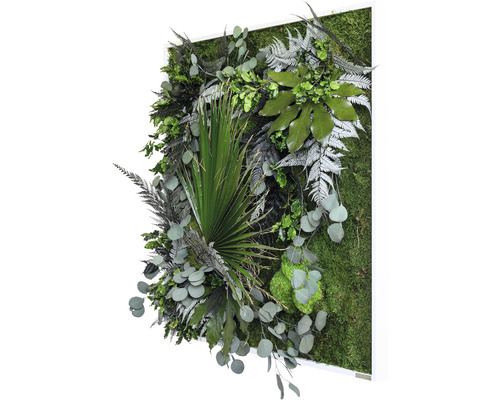 Moosbild mit verschiedenen Pflanzen in einem weißen Rahmen