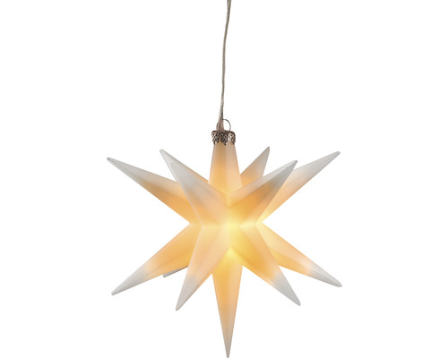 Weihnachtsstern zur Dekoration mit Zuleitung