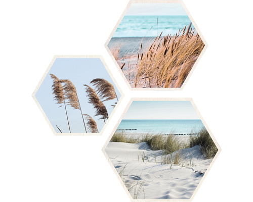 Image hexagonale ambiance de plage I set de 3 3x 45x45 cm