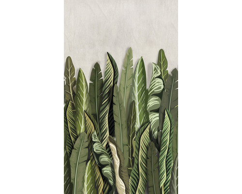 Papier peint panoramique intissé 47205 Smart Art Easy Floral vert beige 3 pces 159 x 270 cm