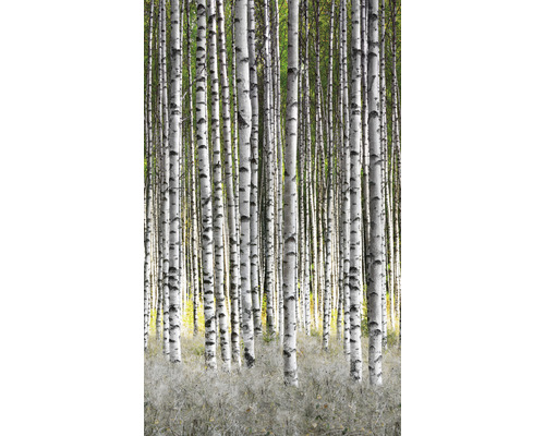 Papier peint panoramique intissé 47220 Smart Art Easy forêt blanc vert 3 pces 159 x 270 cm