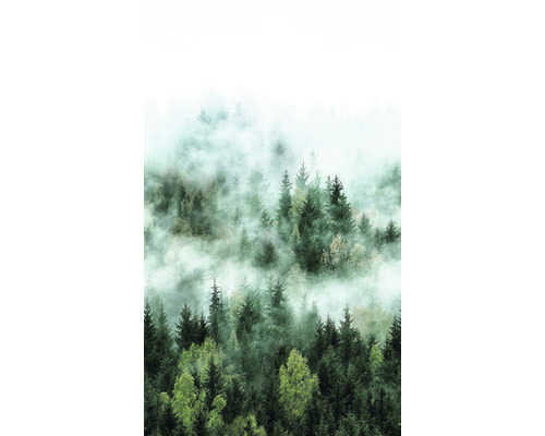 Papier peint panoramique intissé 47267 Smart Art Easy forêt vert blanc 3 pces 159 x 270 cm