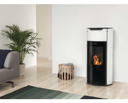 Wohnzimmer mit Pelletofen, Sofa, Pflanze und Teppich