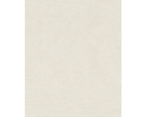 Papier peint intissé 32516 Dune structure beige Image de fond d''une structure de plâtre clair
