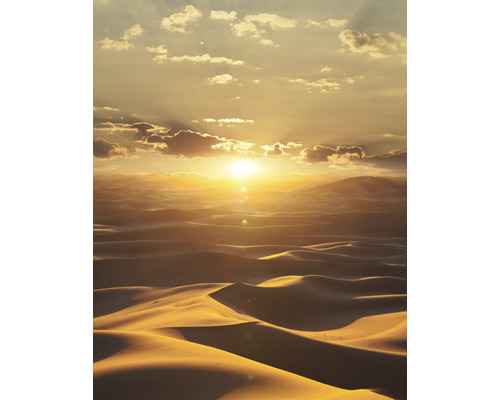 Papier peint panoramique intissé 32545 Dune désert 4 pcs. 212 x 270 cm
