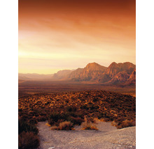 Paysage avec montagnes et végétation désertique
