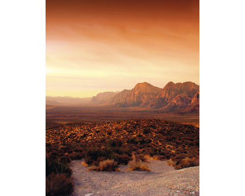 Papier peint panoramique intissé 32548 Dune désert orange brun 4 pcs. 212 x 270 cm Paysage avec montagnes et végétation désertique