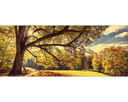Paysage d''automne avec arbre, prairie et banc