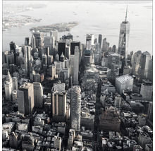 Vue aérienne de la skyline de New York avec de nombreux gratte-ciel et le One World Trade Center.