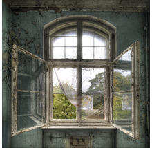 Fenêtre ouverte dans un bâtiment abandonné donnant sur des arbres