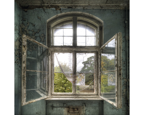 Fenêtre ouverte dans un bâtiment abandonné donnant sur des arbres