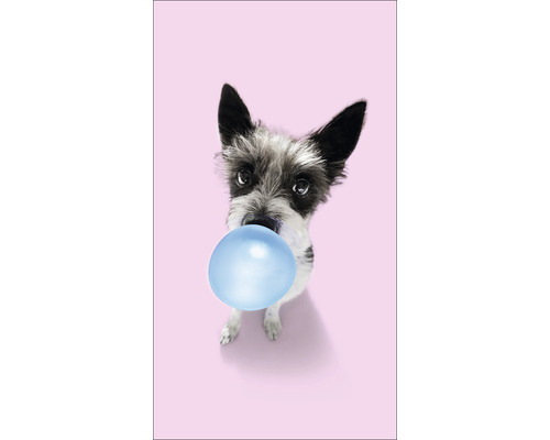 Decopanel Dogs chewing gum III 15x30 cm