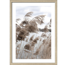 Gerahmtes Bild In The Breeze VI 33x43 cm