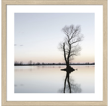 Gerahmtes Bild Tree in a lake 33x33 cm
